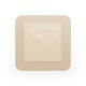 MEPILEX BORDER AG 10X10CM 395390 C1