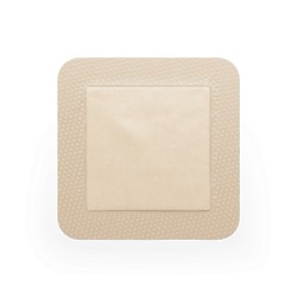 MEPILEX BORDER AG 10X10CM 395390 C1