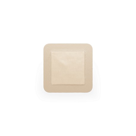 MEPILEX BORDER AG 10X10CM 395390 C1