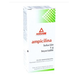 AMPICILINA AMP 1G 5ML AMSA