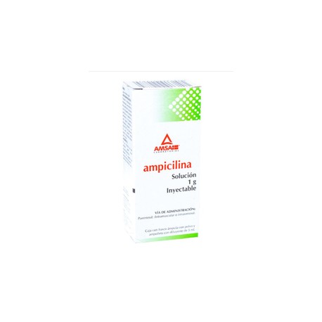 AMPICILINA AMP 1G 5ML AMSA