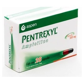 PENTREXYL (AMPICILINA) CAP 500MG C28