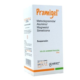 PRAMIGEL (METOCLOPRAMIDA/ALUMINIO/MAGNESIO/SIMETICONA) SUSP 170ML