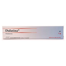 DALATINA (CLINDAMICINA) GEL 1G