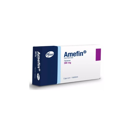 AMEFIN (QUINFAMIDA) TAB 300MG C1