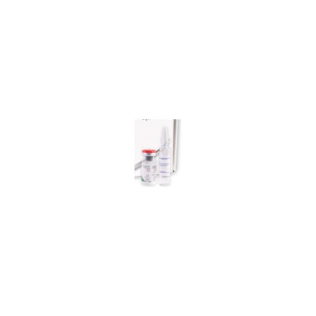 DISMINONA (METILPREDNISOLONA) AMP 500MG C1