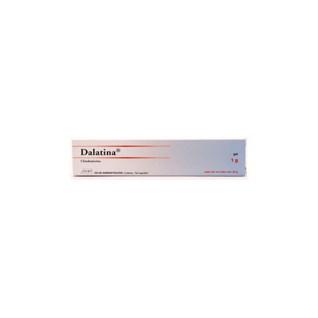 DALATINA (CLINDAMICINA) GEL 1G
